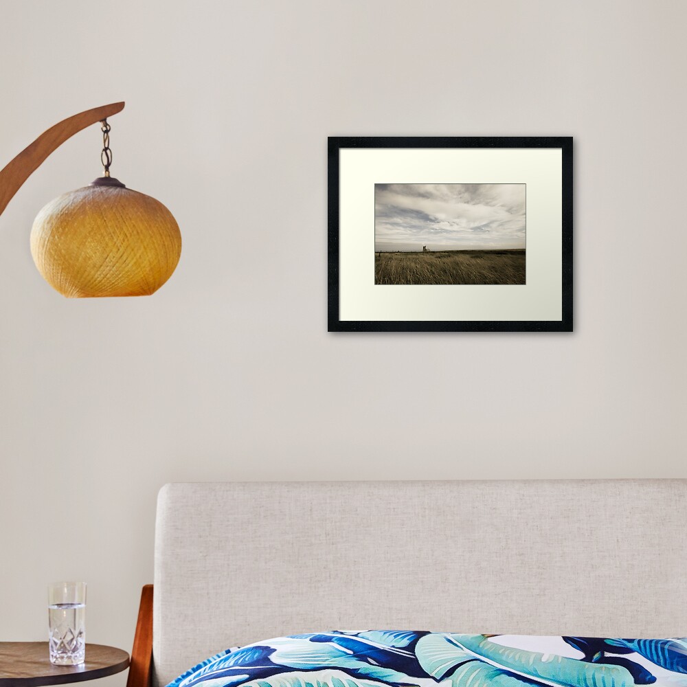 Lundy Framed Art Print