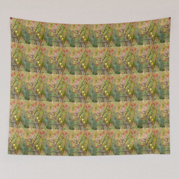 Item preview, Flowering Clay Wattle designed and sold by imaginethis.