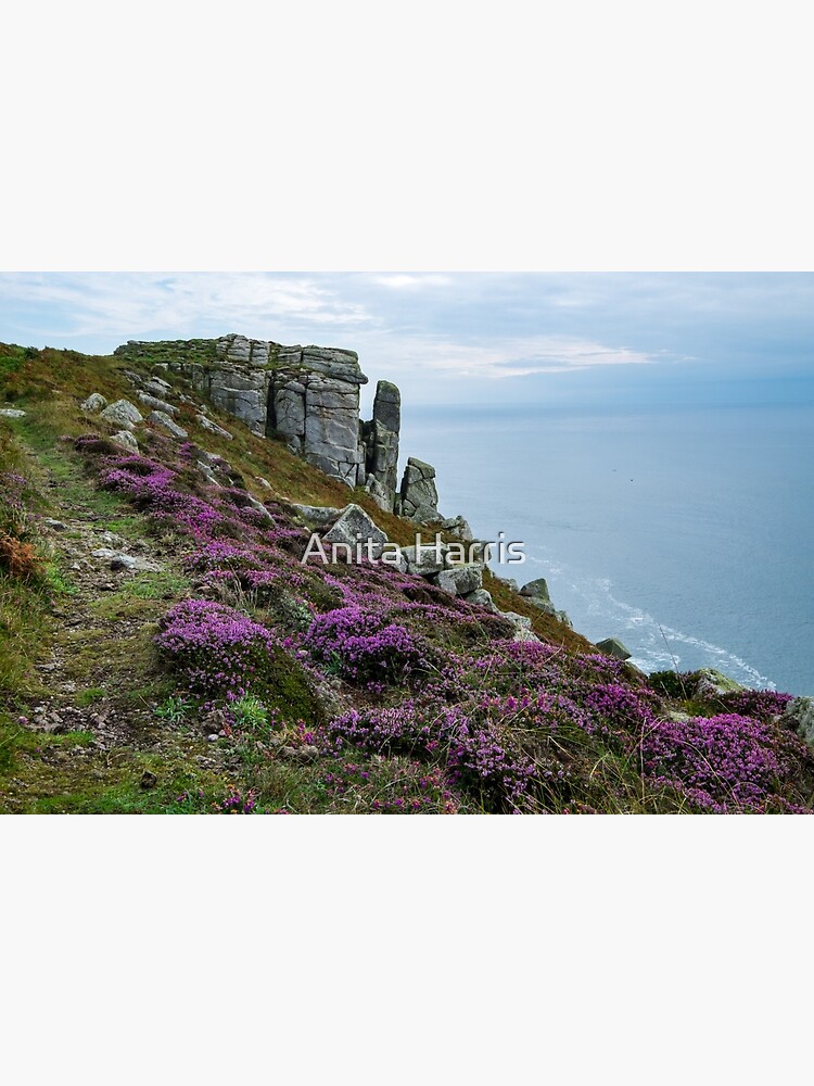 Lundy by plasticflower