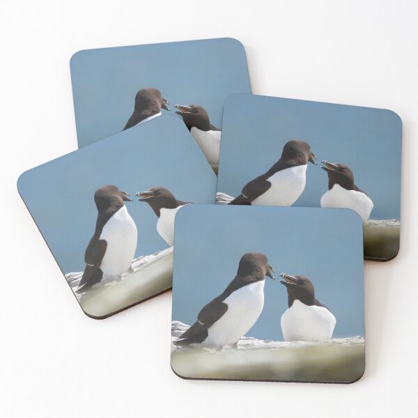 Item preview, Guillemot gossip  designed and sold by miradorpictures.
