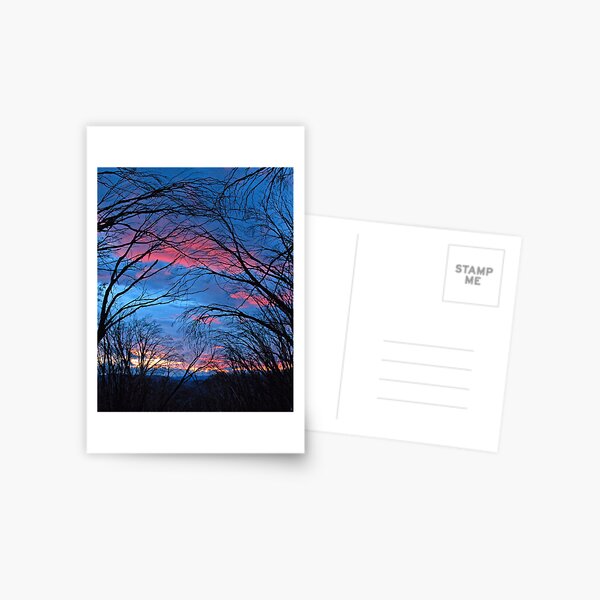 Item preview, Feathertop Sunset designed and sold by Harry Oldmeadow.