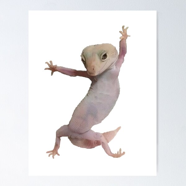 Item preview, Cute Gecko  designed and sold by Kelly-B.