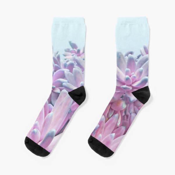 Sweet Succulents Socks