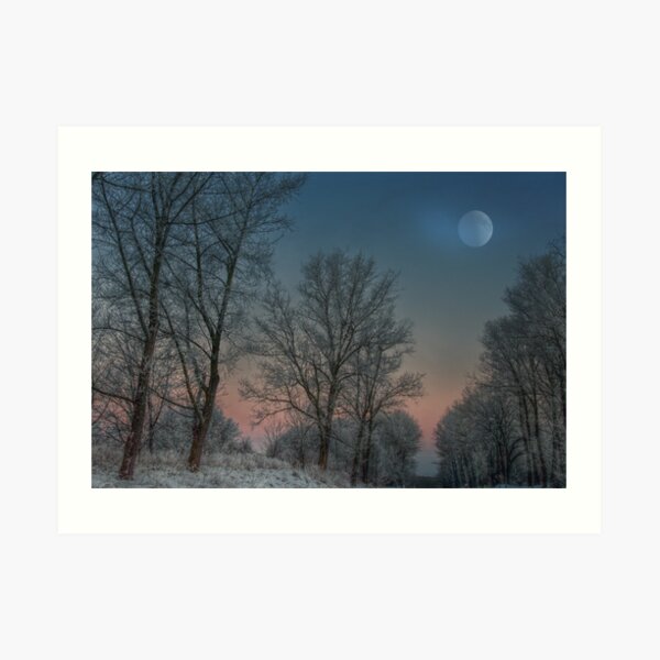 Christmas way Art Print