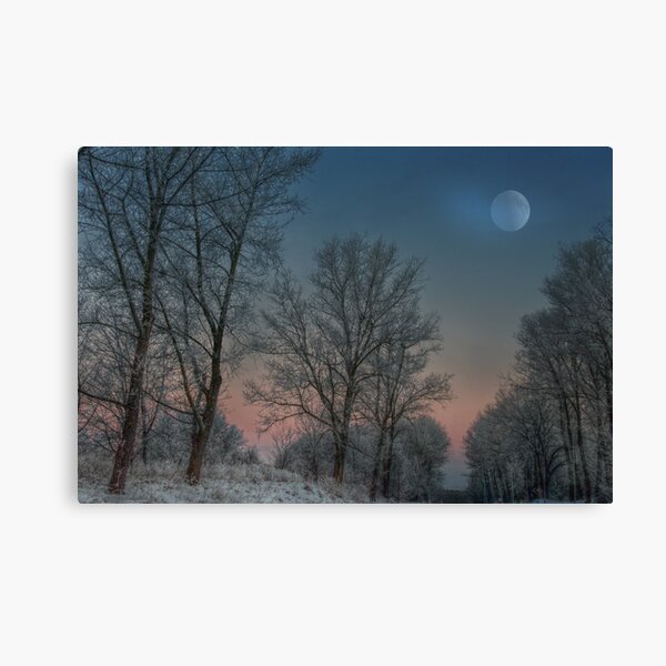 Christmas way Canvas Print