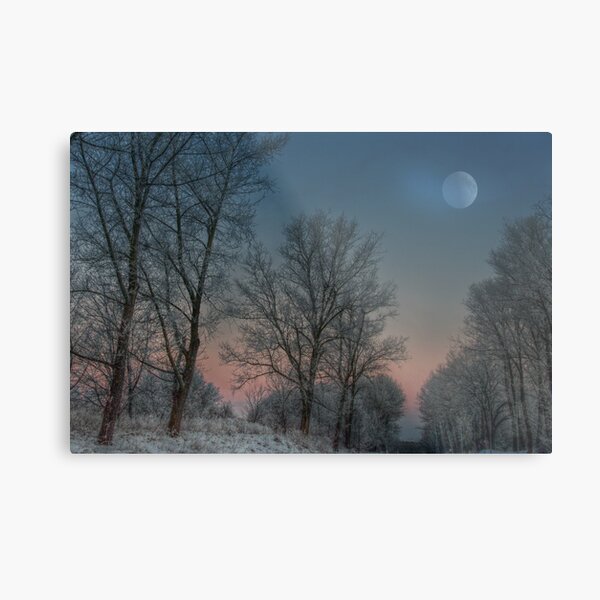 Christmas way Metal Print