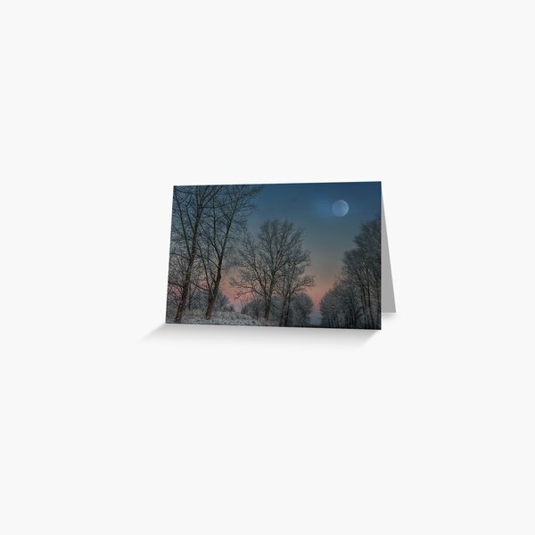 Christmas way Greeting Card