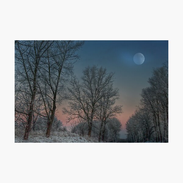 Christmas way Photographic Print
