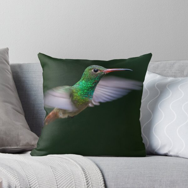 Aperçu de l'œuvre Rufous-Tailed Hummingbird créée et vendue par Steve Bulford.