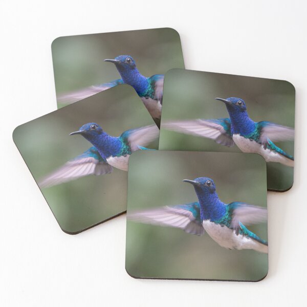 Item preview, White-necked Jacobin Hummingbird designed and sold by Steve Bulford.