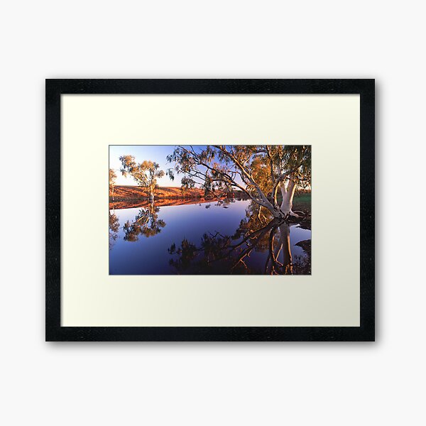 Ghost gums and waterhole, far western Queensland Framed Art Print