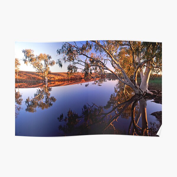 Ghost gums and waterhole, far western Queensland Poster