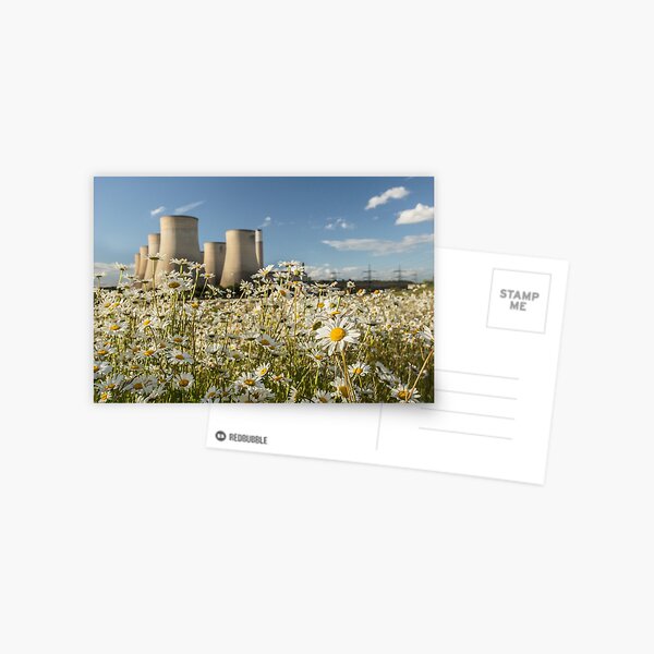 Item preview, Ratcliffe-on-Soar Power Station with Daisies designed and sold by Jan Emery.