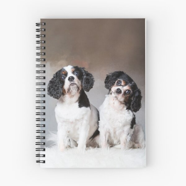 Artikelvorschau, Minnie und Tilly Cavs Telefonkasten entworfen und verkauft von Penel.