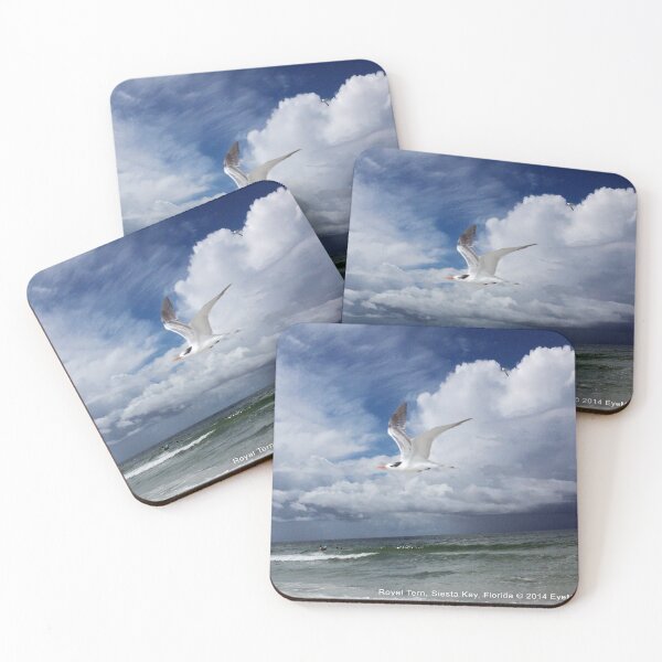 Item preview, Royal Tern designed and sold by EyeMagined.