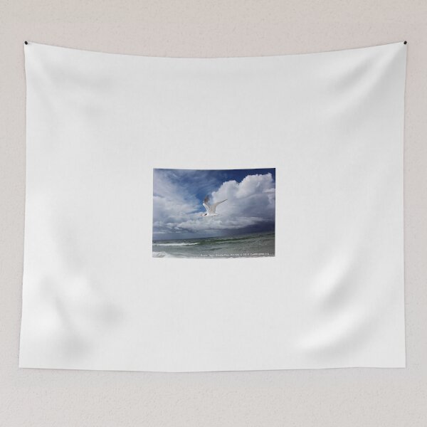 Item preview, Royal Tern designed and sold by EyeMagined.