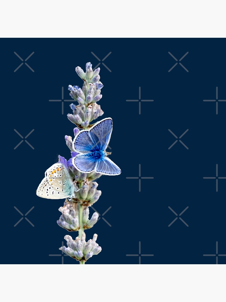 Thumbnail 2 von 2, Stofftasche, Geschenkidee Foto Schmetterlinge auf Lavendel designt und verkauft von Igelchen.