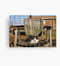 Kitten :) Canvas Print