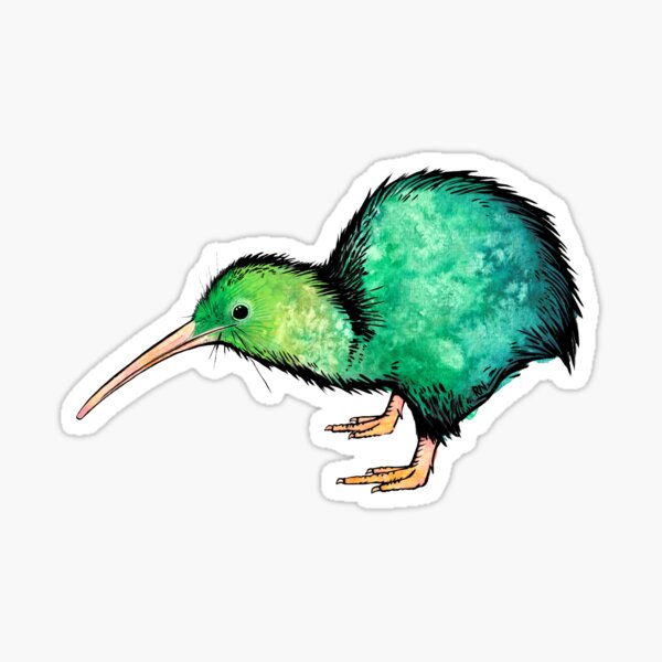 Cute Kiwi - Watercolour Art Sticker