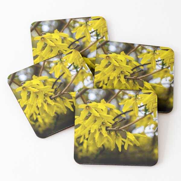 Item preview, First. Photography by Janene Bouck 2019 designed and sold by SilentJane.