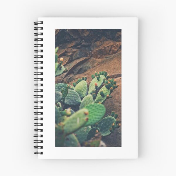 Item preview, Cacti in the Desert designed and sold by Wesley Ervin.