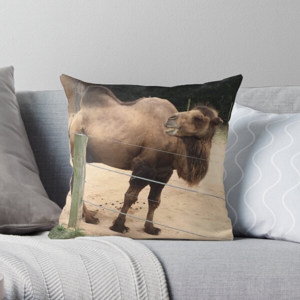 Laughing Camel Throw Pillow