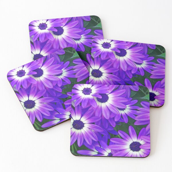 Item preview, Awesome Osteospermum designed and sold by Sajah.