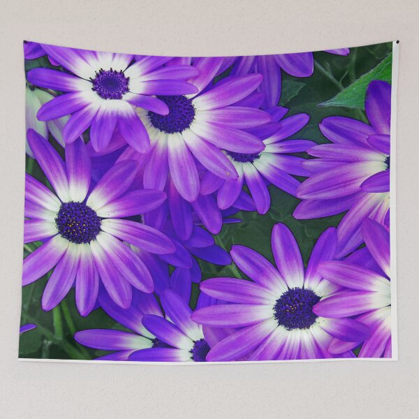 Item preview, Awesome Osteospermum designed and sold by Sajah.