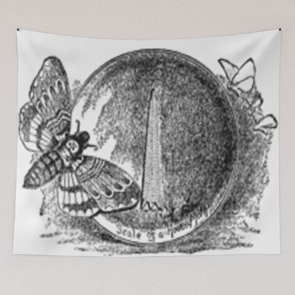 Item preview, A magnified moth designed and sold by ZoologyKat.