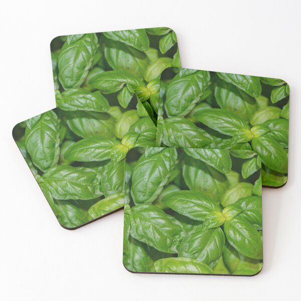 Item preview, Detail of green leaves of Italian basil designed and sold by brambillasimone.