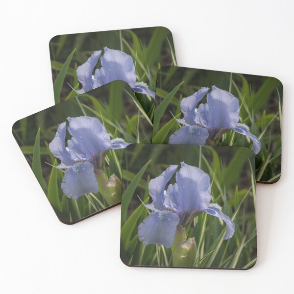 Item preview, Dashing Pale Violet Iris designed and sold by Georgia Mizuleva.