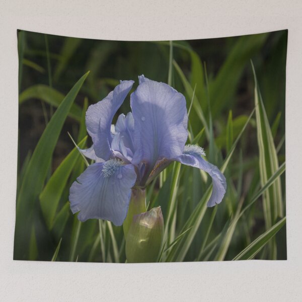 Item preview, Dashing Pale Violet Iris designed and sold by Georgia Mizuleva.