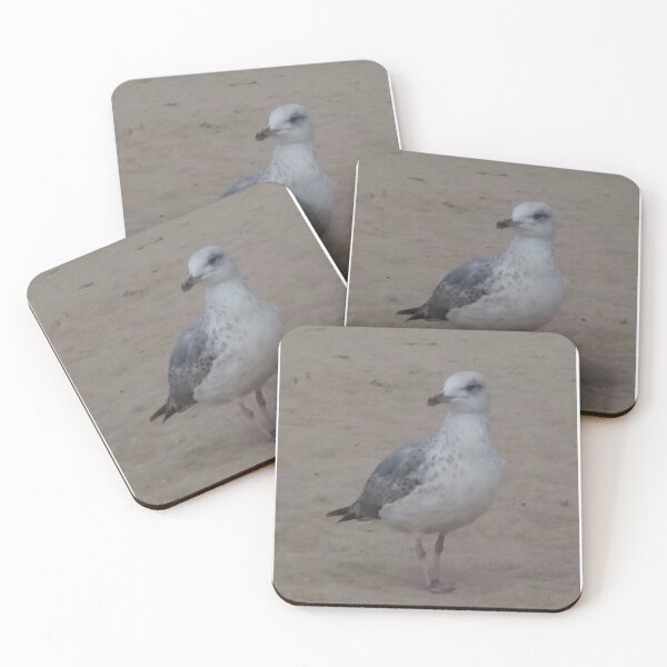 Item preview,  Seagull, bird, animal designed and sold by Sternchen2789.