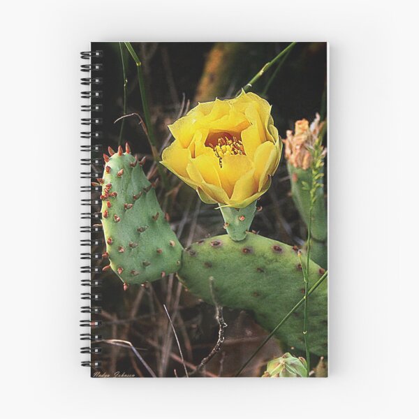 Item preview, Wild Cactus/ Illinois designed and sold by Claude Johnson.
