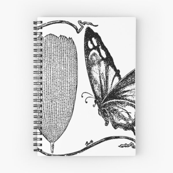 Item preview, A butterfly with magnified section designed and sold by ZoologyKat.