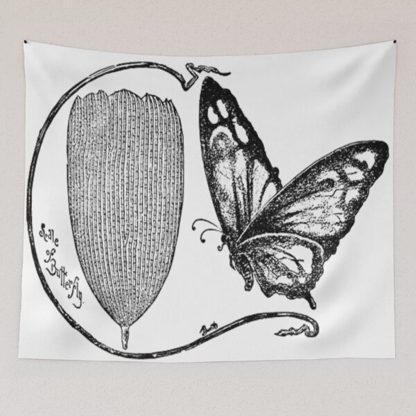 Item preview, A butterfly with magnified section designed and sold by ZoologyKat.