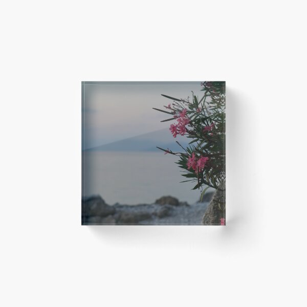 Item preview, Nerium Oleander designed and sold by distracted.