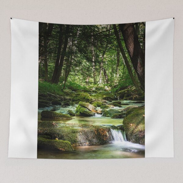 Item preview, Beautiful Pennsylvania Mountain Stream designed and sold by mcrvlife.