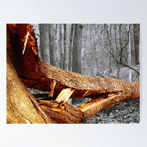 Item preview, if a tree falls designed and sold by Brock Hunter.