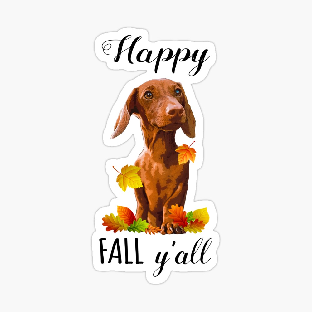 Happy Fall Y'all T-Shirt Small