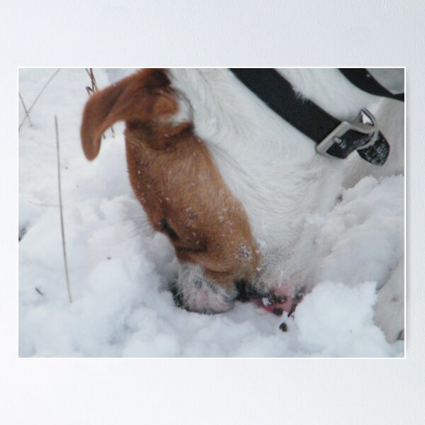 Item preview, Floyd in the snow designed and sold by ElsT.