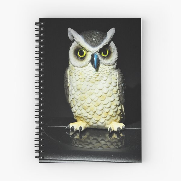 Artikelvorschau, Hooters Hoot entworfen und verkauft von Phil Woodman.