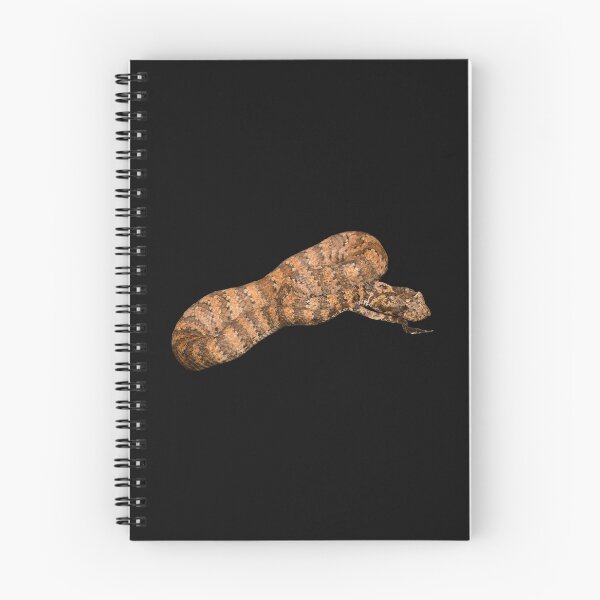 Item preview, Death Adder in ambush designed and sold by CNZdenek.