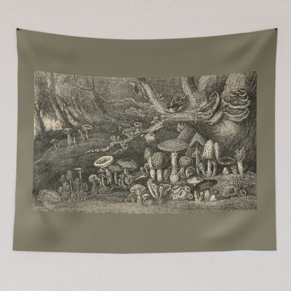 Item preview, Mushrooms And Toadstools designed and sold by BlueSpecsStudio.
