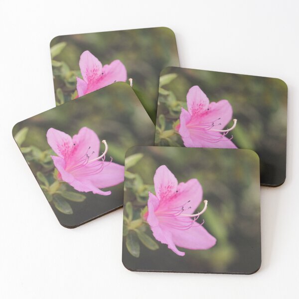Item preview, Pink Azalea designed and sold by Tracy Friesen.