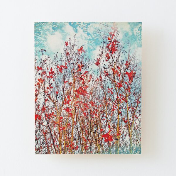 I Scratch the Sky Wood Mounted Print