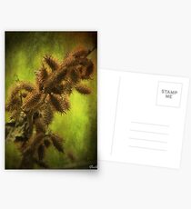 Briers and Brambles Postcards