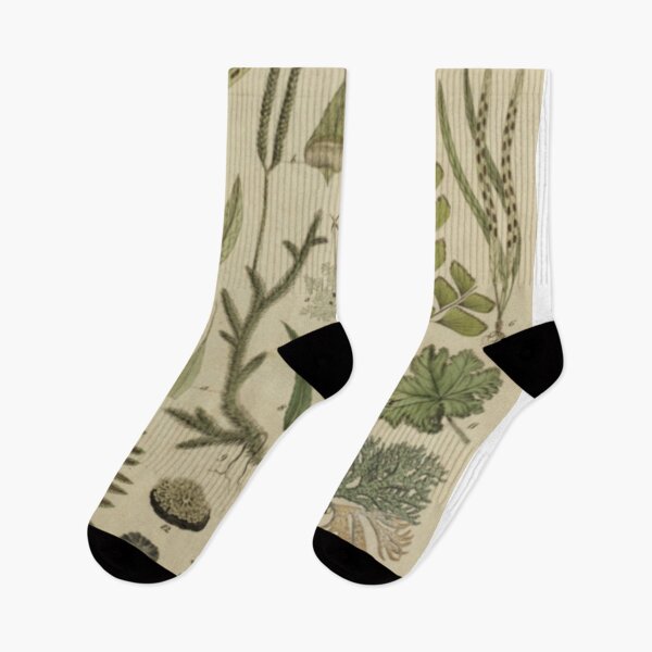 Item preview, Ferns And Lichen designed and sold by BlueSpecsStudio.