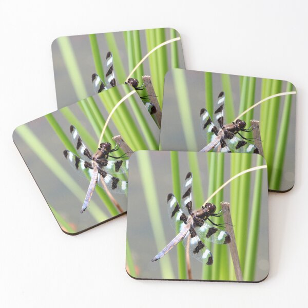 Item preview, Dragon Fly 2 designed and sold by Susie Kramer.