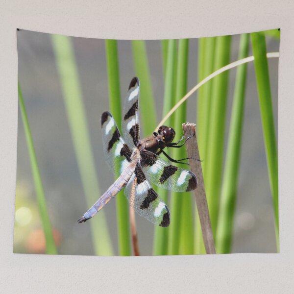 Item preview, Dragon Fly 2 designed and sold by Susie Kramer.